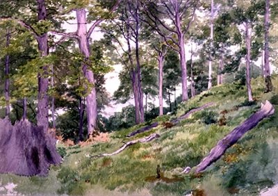 Clearing in the Woods near Ludlow by Alfred Nichols